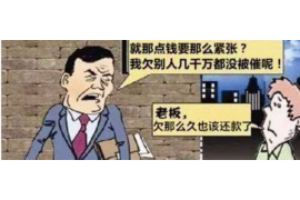 宝兴讨债公司